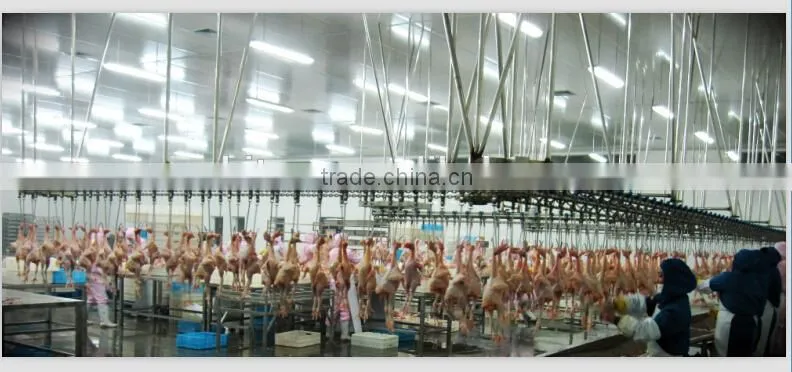 portable automatic chicken slaughter houses for slaughtering