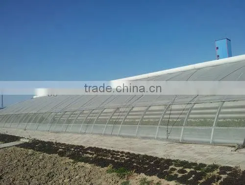 hot sale solar greenhouse