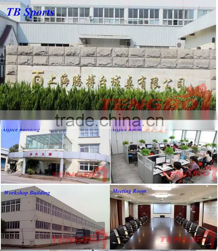Wholesale high quality but cheap price TB-T-6 tenni tabl ball