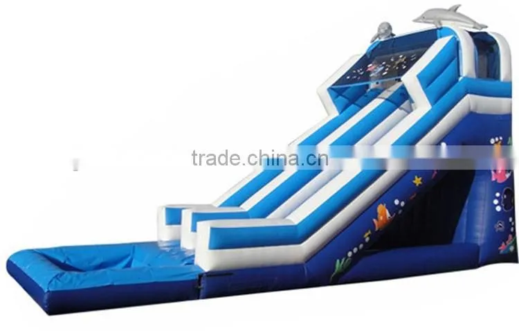 commercial grade dolphin water slide with pool, big water slides for sale