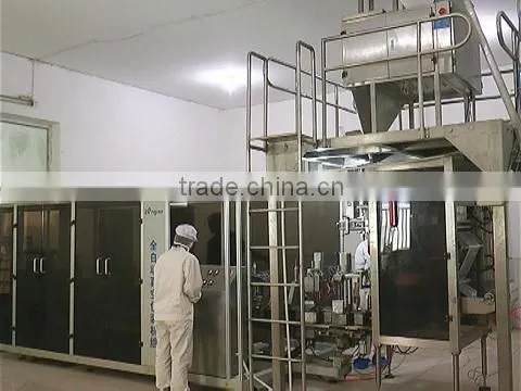 Dingtao County Anji Fuqiang Yeast Co., Ltd. company overview - view 1
