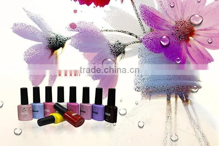 OEM Offered Producer Various Packaging 120 Colors Liquid Nail Lacquer