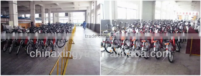 cheaper electric bike XY-TDE03ZA