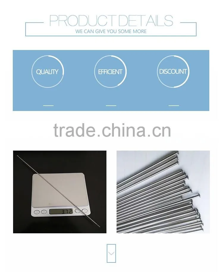 unbend titanium alloy gr5 straight titanium spokes