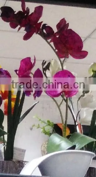 Morden fashion artificial Orchid in ceramic pot