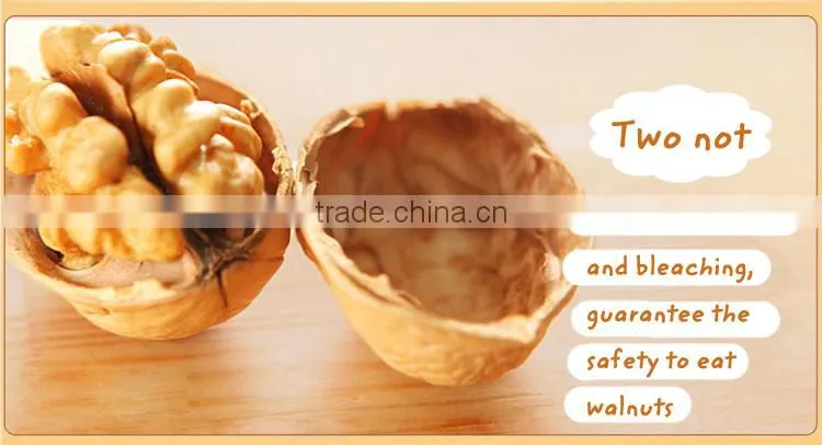 New crop dried fruit walnut