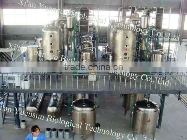 NSF-GMP Certified/Honeysuckle Extract with Chlorogenic Acid 98% HPLC