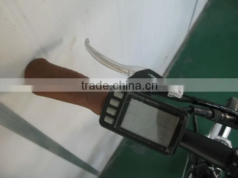 electric bicycle/pedelec lithium battery/e-bike