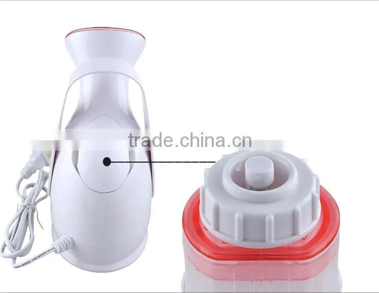 Portable Facial Steamer