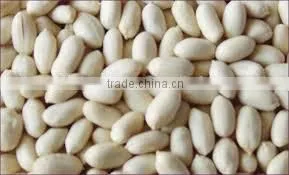 BLANCHED PEANUT SPLITS