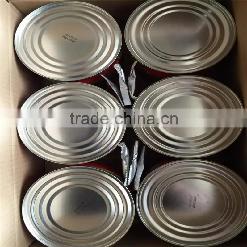 Canned Tomato Paste with High Quality and Brix in 28-30