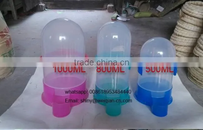 pigeon water feeder; pigeon drinker, pigeon drinkers and feeders
