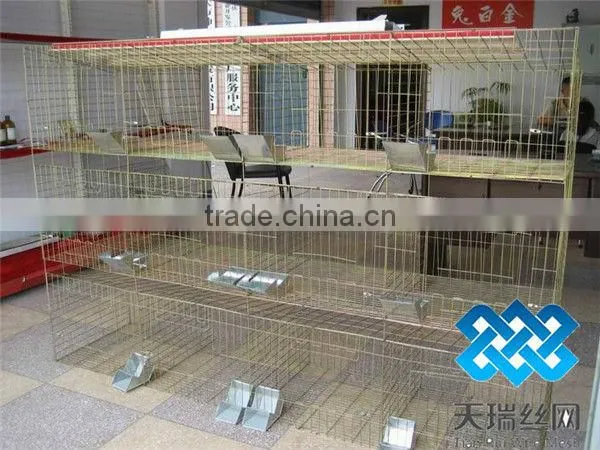 hot-sale good quality poultry farm layer chicken cage