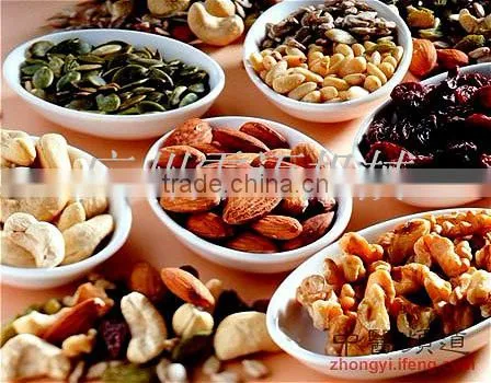 Professional Industrial Roasted Seeds And Nuts Machine