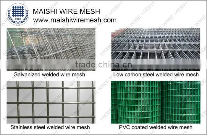 Welded Wire Mesh/Galvanized Welded Wire Mesh