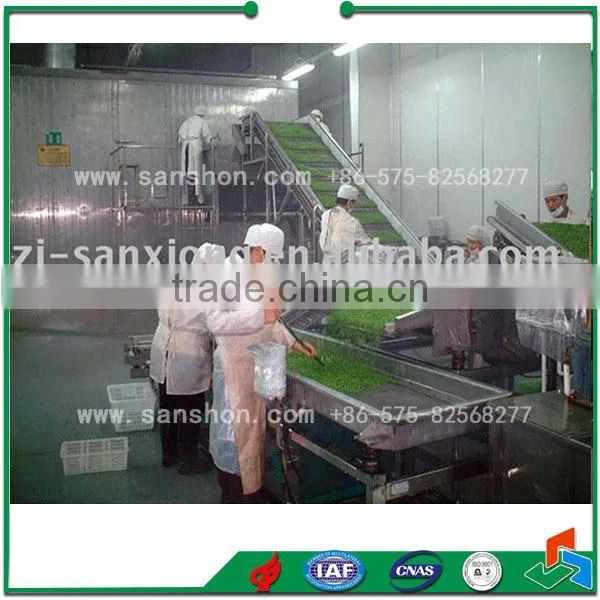 Sanshon LSZ-0.5 Vegetable And Fruit Fluidized Individual Quick Freezer