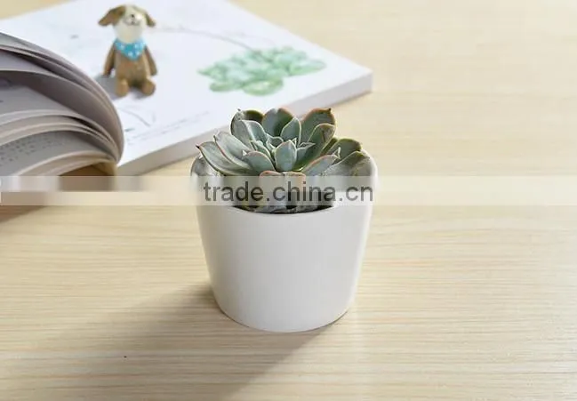 Indoor mini ceramic decor white plant pot