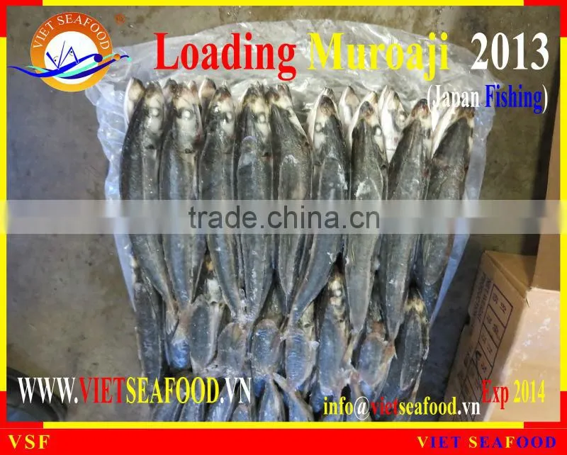 LOADING MUROAJI FOR TUNA BAIT