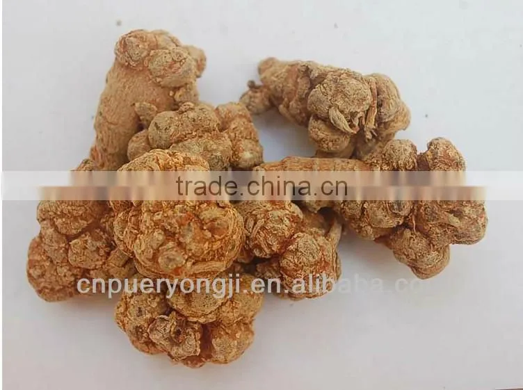 Factory Supply Dietary Supplyment 100% Natural panax Notoginseng P.E. / Wild Radix Notoginseng Extract