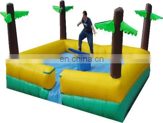 new design inflatable Surf Simulator, skyboard simulator