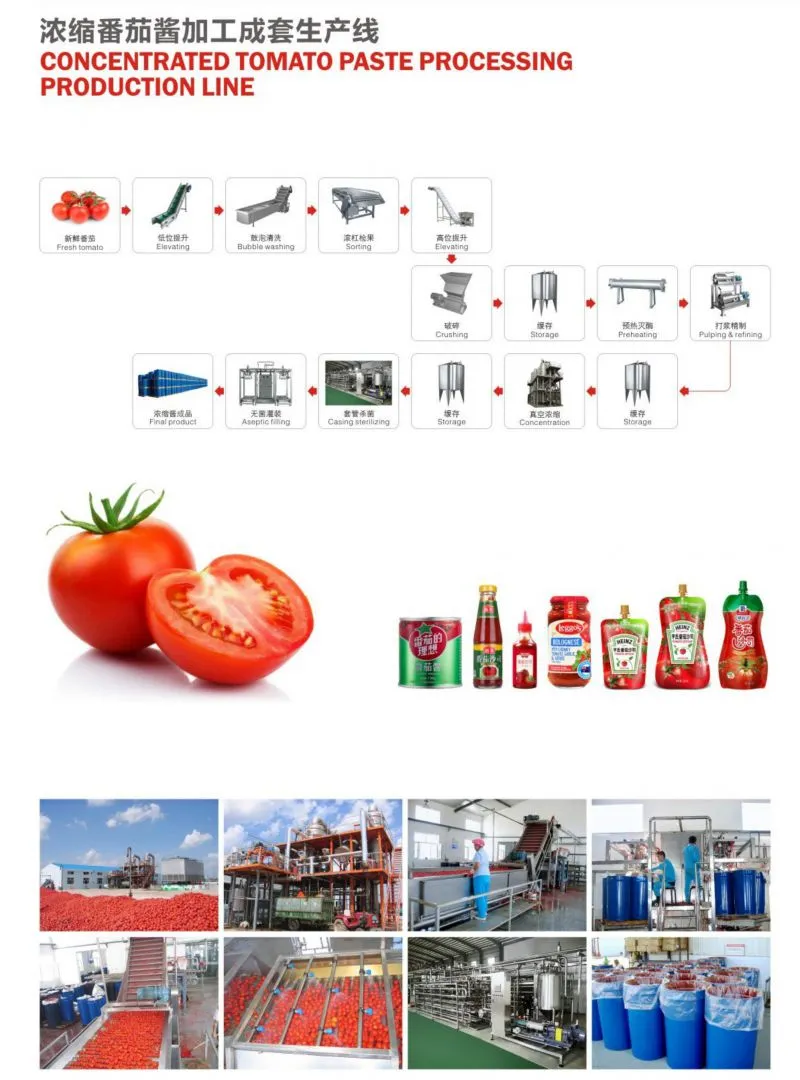 Industrial Concentrate Tomato Paste Sauce Processing Production Line