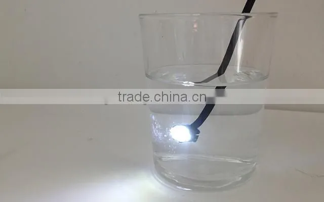 waterproof safe LED Backyard lights