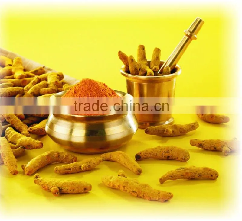 Pure & High Quality Turmeric Powder For Sales From India
