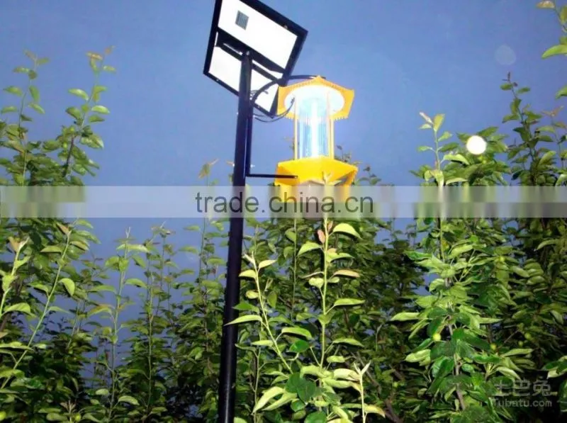 Solar Pest insect Killer whosale high quality