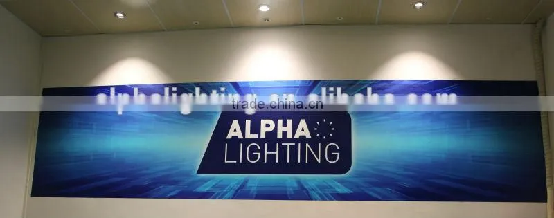 COB citizen Fixed high power led manufacturer light,manufacturer led light,led light manufacturer
