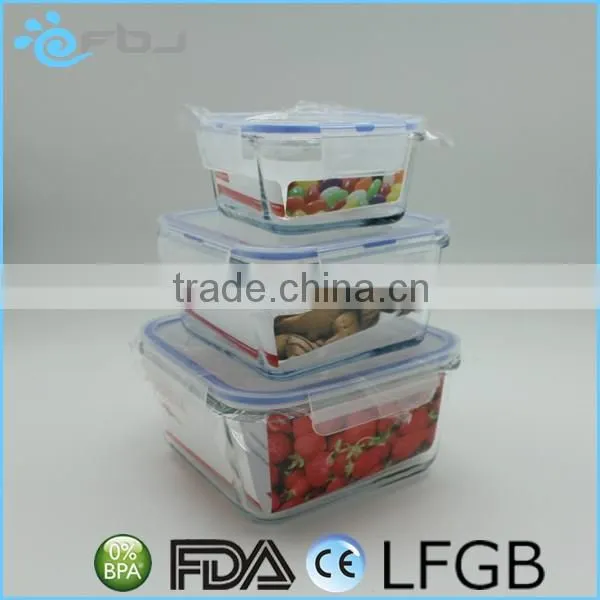 Square Microwaveable Borosilicate Glass Container Set