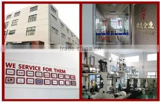Shanghai Shenhe Packing Technology Co., Ltd. company overview - view 1