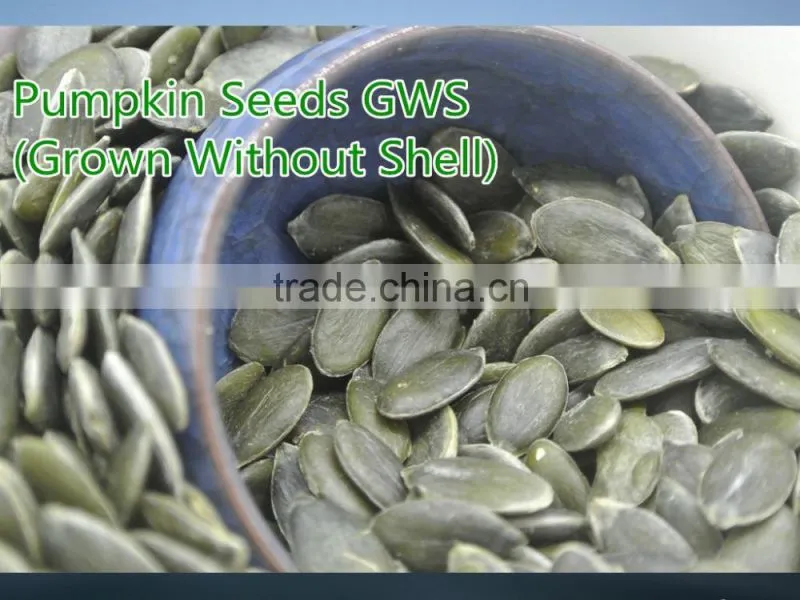 Pumpkin Seeds Kernels GWS (Grown Without Shell) Grade AA