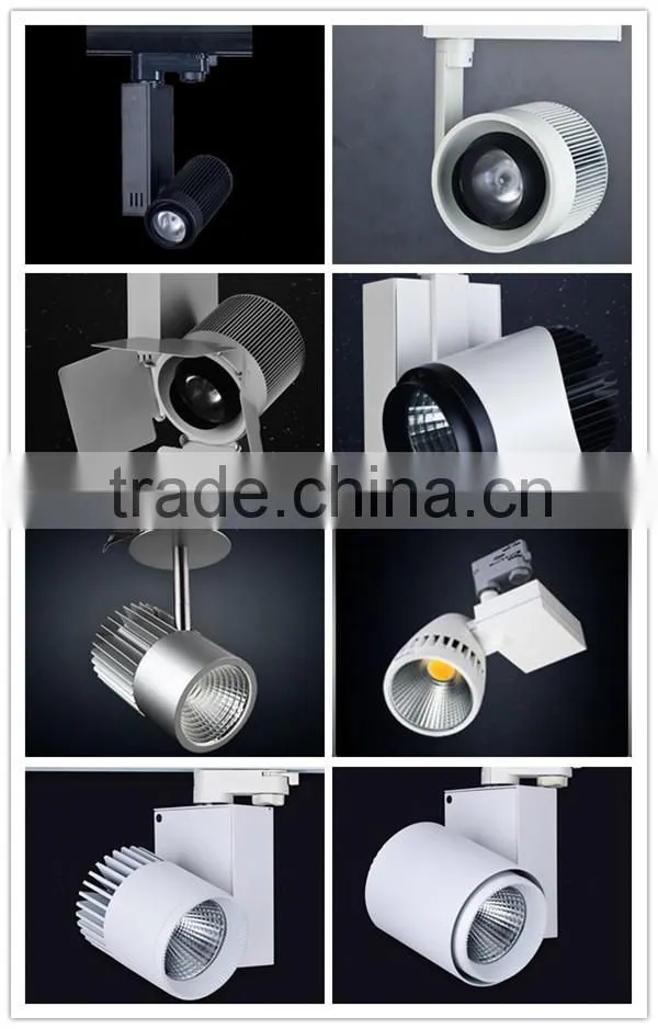 guide rail spotlights 20W driverless LED track lights