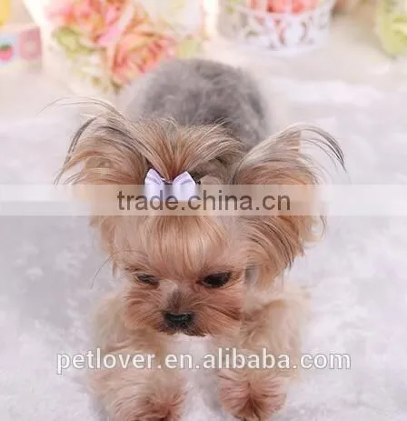 cheap stripe pet accessories dogs and cats