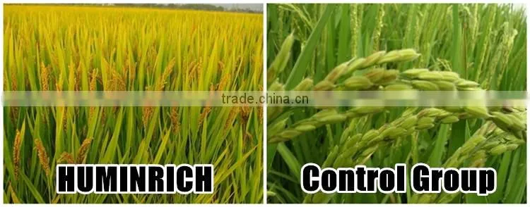 FAQ 18--Application Of Water-Soluble Fertilizer In Agriculture