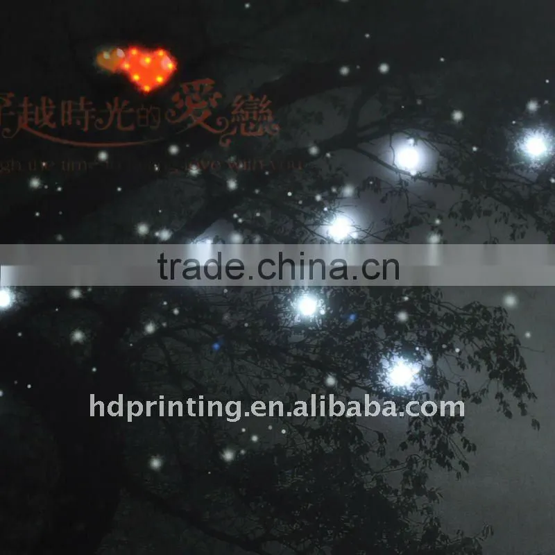 LED wedding pictures