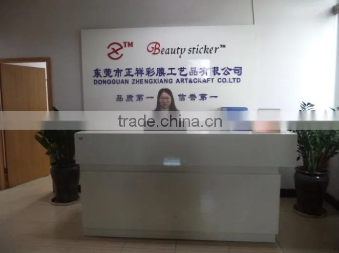 Dongguan Zhengxiang Color Film Arts And Crafts Co., Ltd. company overview - view 2
