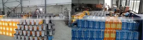 Top Grade Professional ISO 9001 Electric Hoist Rental
