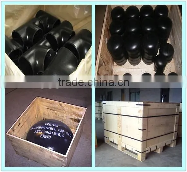 Pipe Cap ; pipe fittings ;pipe end cap