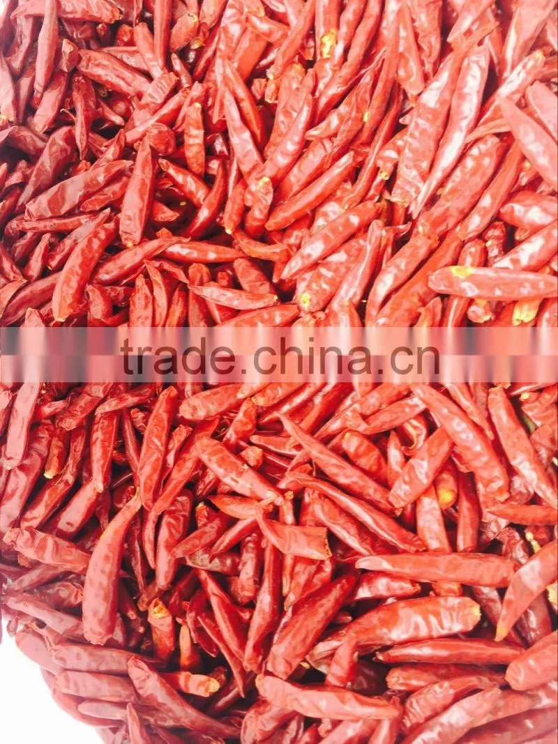 dried chilli