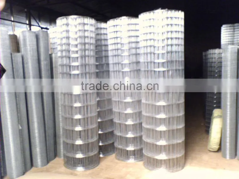 GI wire netting (We are manufacture)