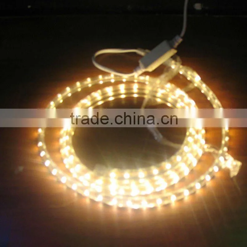 2012 High brightness SMD 5050 RGB flexible LED strip light