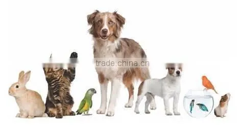 PE film for pet mat without printing