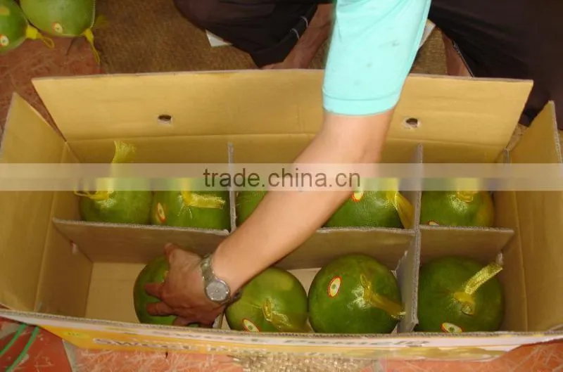 Vietnam Fresh Pomelo competitive price and High Quality
