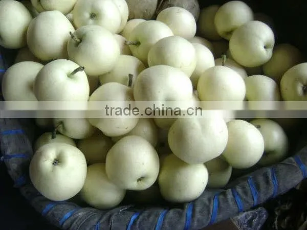 Fresh fruit emerald pear with good price for exporting