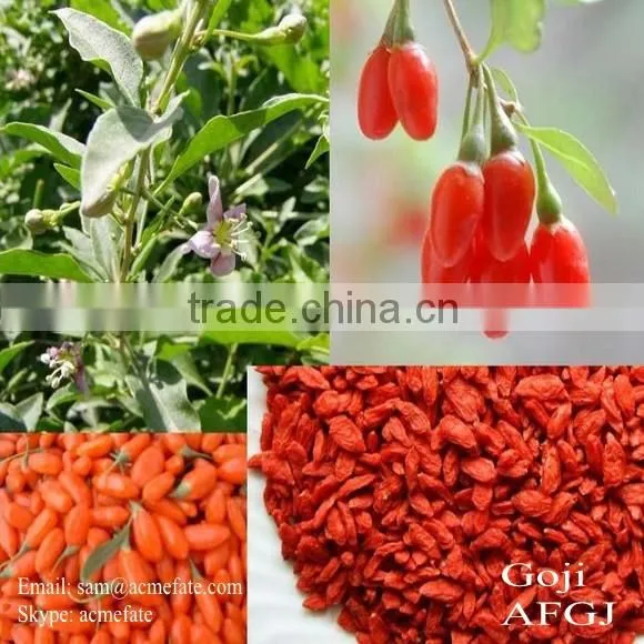 Wholesale price Chinese Natural dried organic goji berries
