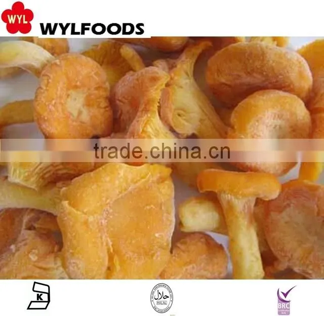 2015 new product China mushroom frozen chanterelles mushroom