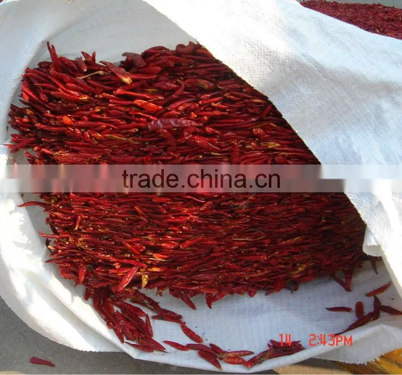 New crop CHILE JAPONES