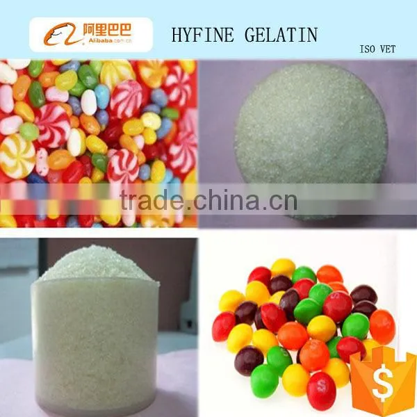 gelatin scrap