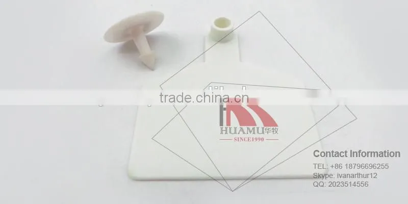 TPU cow ear tag with metal pin in white 70*58 mm